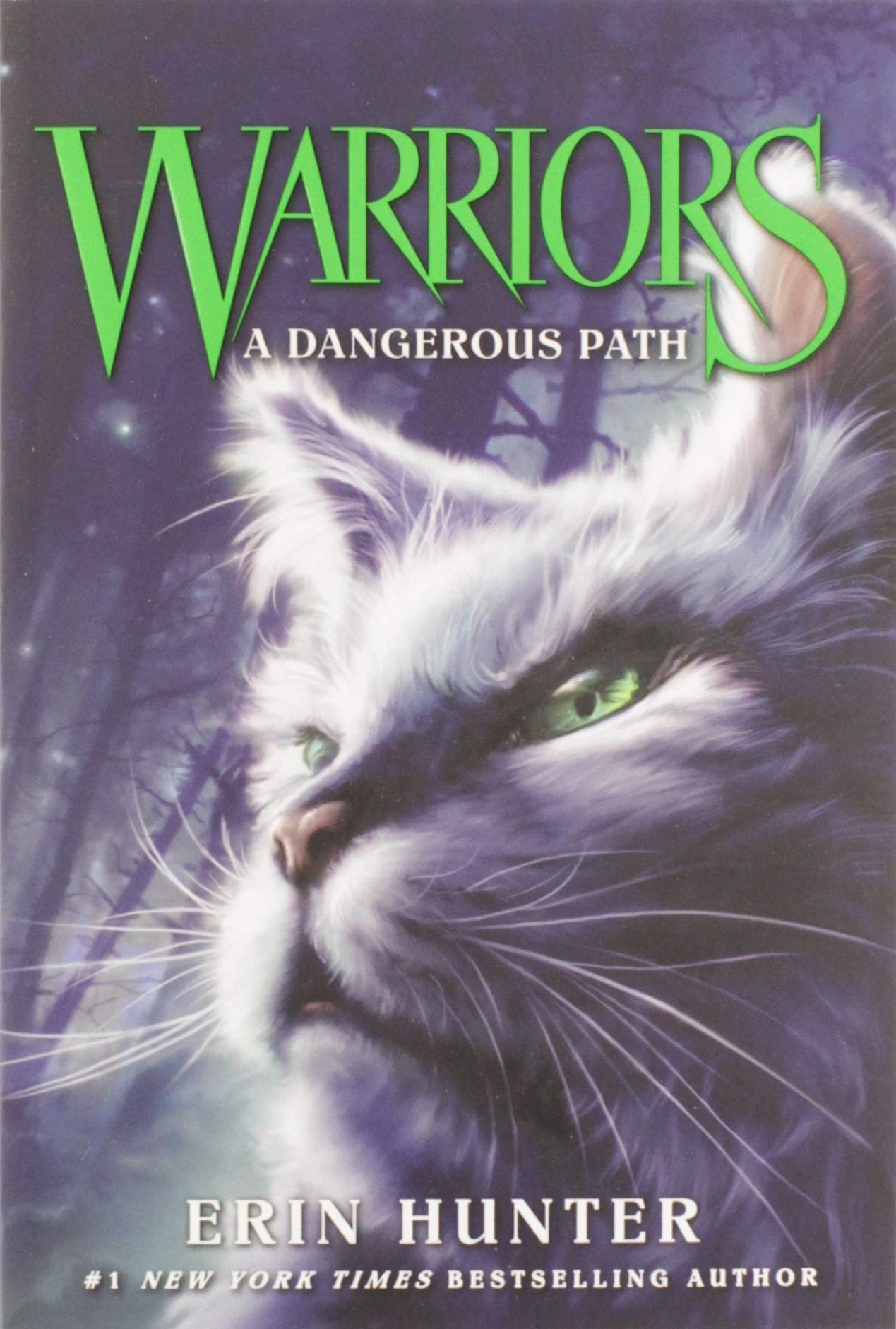 Warriors #4: Rising Storm - (Warriors: The Prophecies Begin) by Erin Hunter  (Paperback)