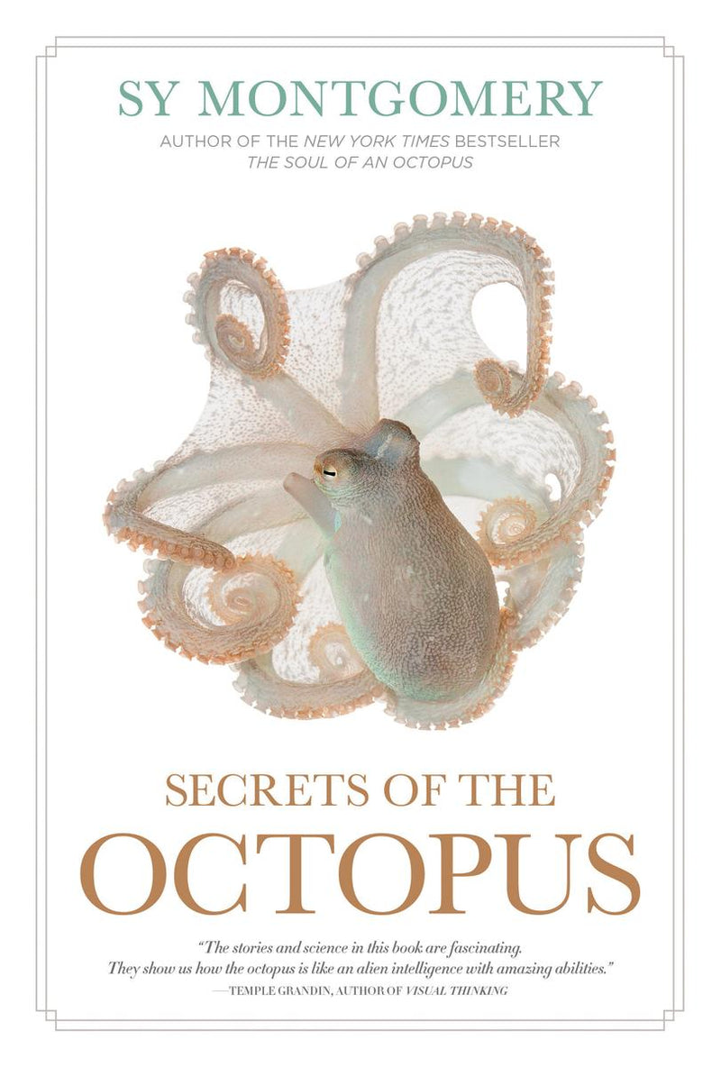 Secrets Of The Octopus