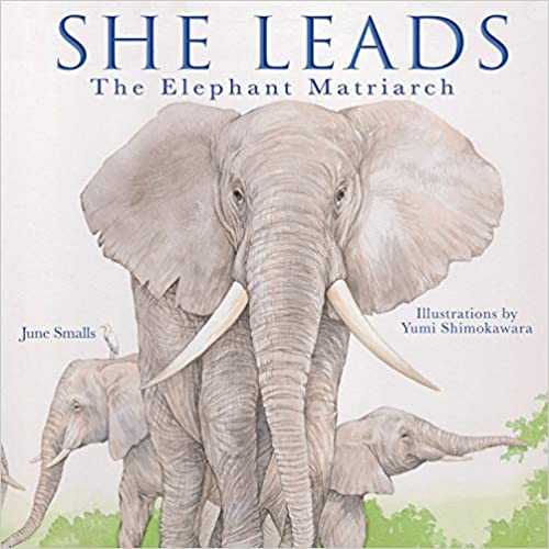 She Leads: The Elephant Matriarch