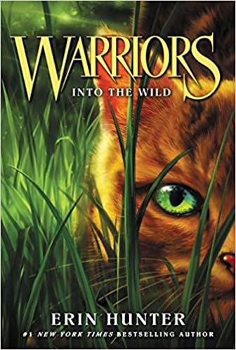 Into the Wild (Warriors: The Prophecies Begin #1)