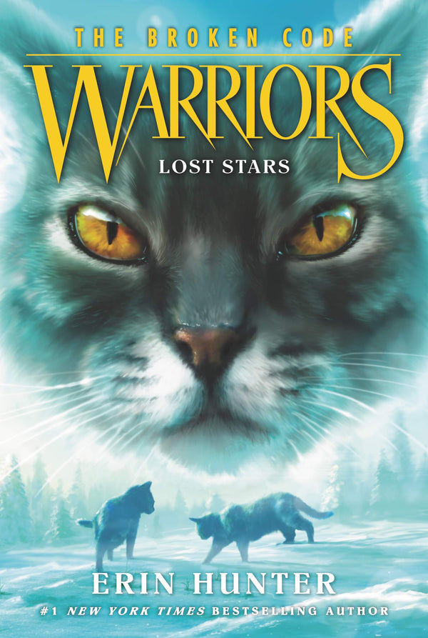 Lost Stars (Warriors: The Broken Code #1)
