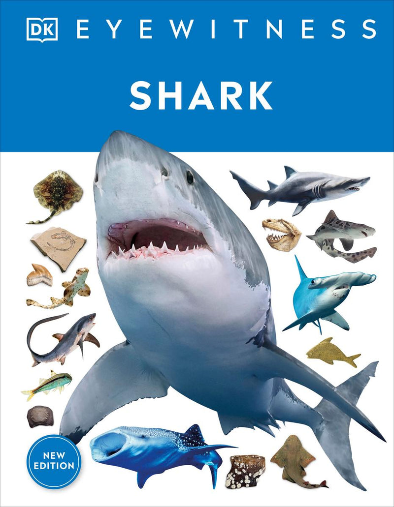 Shark: Dive Into the Fascinating World of Sharks