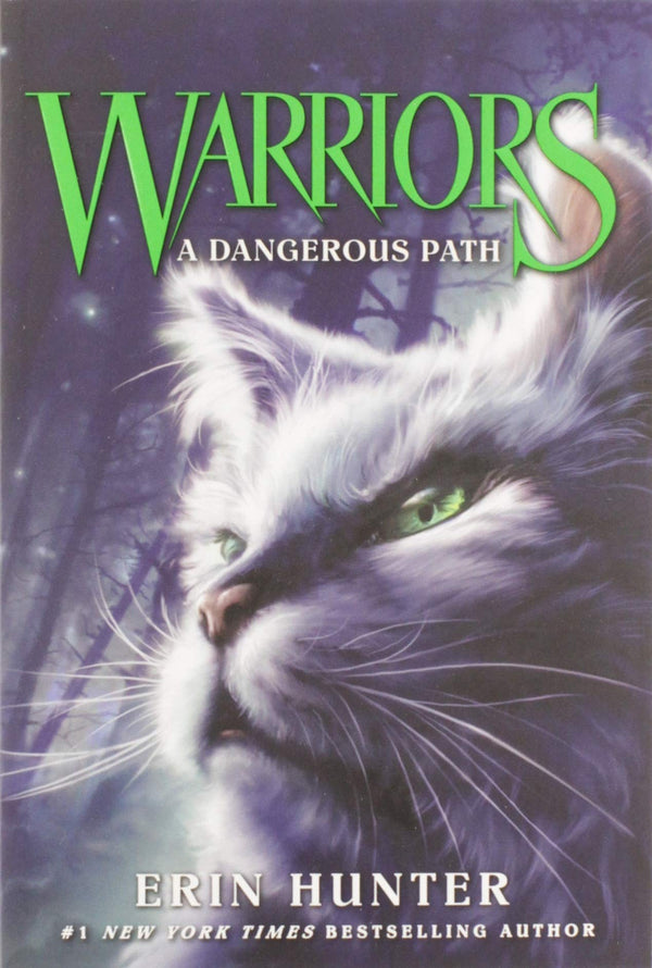 A Dangerous Path (Warriors: The Prophecies Begin #5)