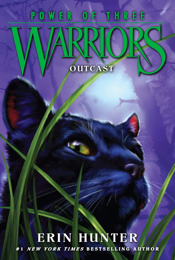 Outcast (Warriors: Power of Three #3)
