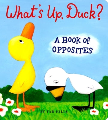 What's Up, Duck?: A Book of Opposites by Hills, Tad