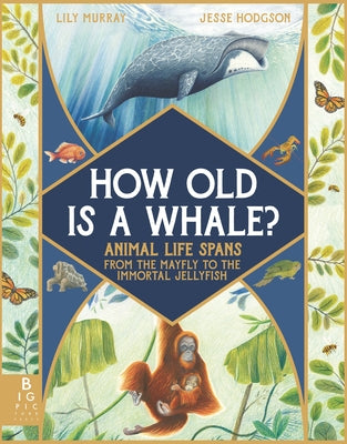 How Old Is a Whale?: Animal Life Spans from the Mayfly to the Immortal Jellyfish by Murray, Lily