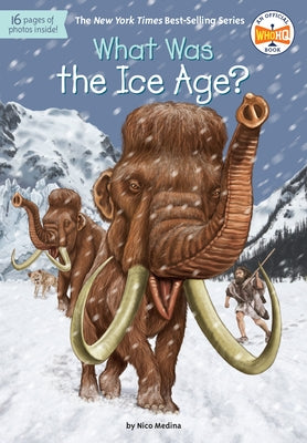 What Was the Ice Age? by Medina, Nico