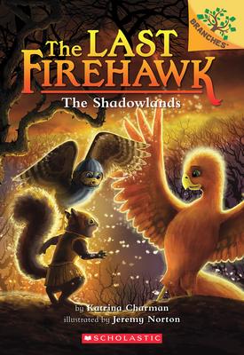 The Shadowlands: A Branches Book (The Last Firehawk #5)